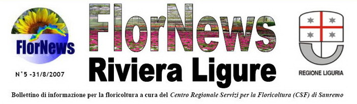 Sanremo: è stato pubblicato il numero 288 di FlorNews - Riviera Ligure