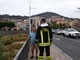 Imperia: allarme per una fuga di gas sul ponte dell'Impero, intervento dei Vigili del Fuoco ma nessun problema Imperia: allarme per una fuga di gas sul ponte dell'Impero, intervento dei Vigili del Fuoco ma nessun problema