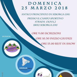 Primo Festival Cinofilo a Seborga: cani di razza e meticci in passerella e ‘Agility School’