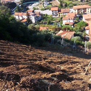 Badalucco: frana in regione Poggio, lettrice chiede risposte "Tante parole ma siamo ancora isolati e ora arrivano le piogge autunnali"