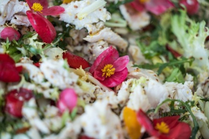 Alassio, due esperienze gastronomiche uniche al Festival Nazionale Cucina con i Fiori: ecco la "Flowers Dinner Experience" Alassio, due esperienze gastronomiche uniche al Festival Nazionale Cucina con i Fiori: ecco la "Flowers Dinner Experience"