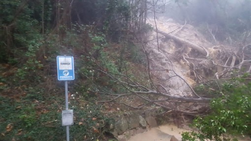 Provincia al lavoro per liberare le strade dell'entroterra flagellate dal vento, frana sulla Sp3 a Cosio d'Arroscia