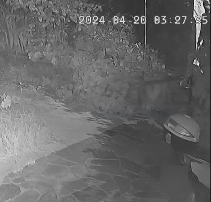 Raffica di furti: coppia di ladri d'appartamento fermata nell'immediato entroterra di Sanremo Raffica di furti: coppia di ladri d'appartamento fermata nell'immediato entroterra di Sanremo