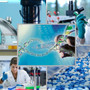Università di Genova, Farmacia e CTF senza test di ammissione per l’anno accademico 2026/2027 Università di Genova, Farmacia e CTF senza test di ammissione per l’anno accademico 2026/2027