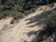 Castellaro: cava Rocche Croaire, interrogazione in Regione di Sergio Scibilia (PD) Castellaro: cava Rocche Croaire, interrogazione in Regione di Sergio Scibilia (PD)