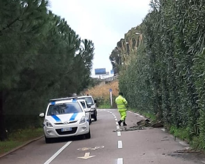 Santo Stefano al Mare: smottamento di terreno sotto l'Aurelia, massi finiscono sulla ciclabile (Foto) Santo Stefano al Mare: smottamento di terreno sotto l'Aurelia, massi finiscono sulla ciclabile (Foto)