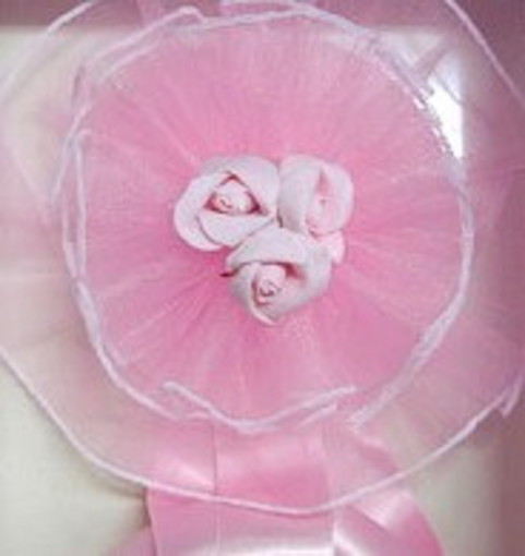 Ventimiglia, è nata la figlia del senatore Berrino: le congratulazioni di Forza Italia Ventimiglia, è nata la figlia del senatore Berrino: le congratulazioni di Forza Italia