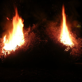 Villa Viani: questo fine settimana, di festeggia la tradizionale festa di San Giuseppe Villa Viani: questo fine settimana, di festeggia la tradizionale festa di San Giuseppe