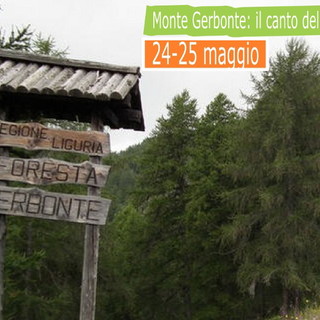 Escursione guidata nel prossimo fine settimana sui sentieri che attraversano il Monte Gerbonte Escursione guidata nel prossimo fine settimana sui sentieri che attraversano il Monte Gerbonte