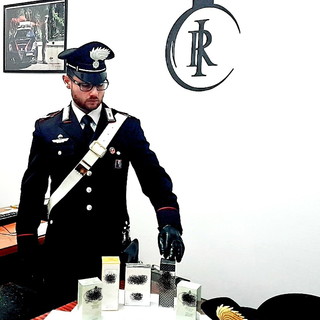 Imperia: badante ruba nell'abitazione dove lavora, arrestata dai Carabinieri dopo un'indagine lampo