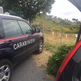 Dolcedo: tre albanesi denunciati dai Carabinieri per furto di verde in un appezzamento di terreno