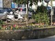 Sanremo: fiori e piante nell'aiuola tra via Dante e via Margotti, residenti e commercianti ringraziano (Foto)
