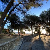 Giardini Regina Elena a Sanremo, un lettore: "La tutela del verde prima delle pavimentazioni. Le piante non sono arredo, ma esseri vivi da proteggere”
