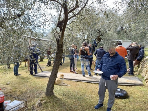 Le foto postate sui social