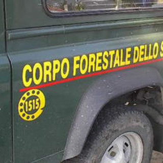 Sanremo: scoperte dal Corpo Forestale dello Stato alcune discariche abusive Sanremo: scoperte dal Corpo Forestale dello Stato alcune discariche abusive