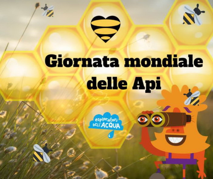 Verrà celebrata anche dal Club Unesco di Sanremo la ‘Giornata Mondiale delle Api’