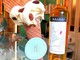 Ventimiglia wine festival: premiato lo chef de Cave dell’Hotel de Paris di Monaco, arriva anche il gelato al passito Ventimiglia wine festival: premiato lo chef de Cave dell’Hotel de Paris di Monaco, arriva anche il gelato al passito