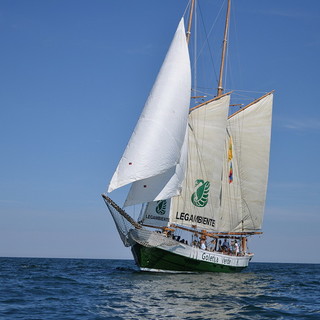 Bandiere da spiaggia