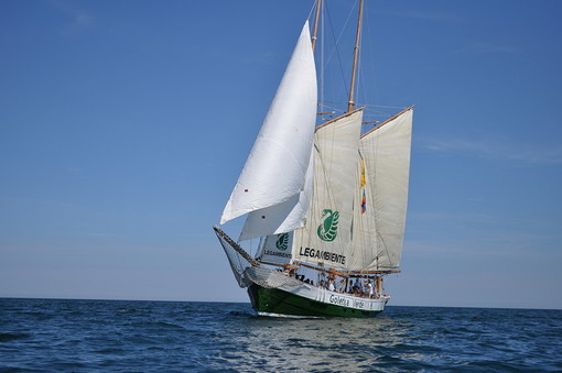 Bandiere da spiaggia