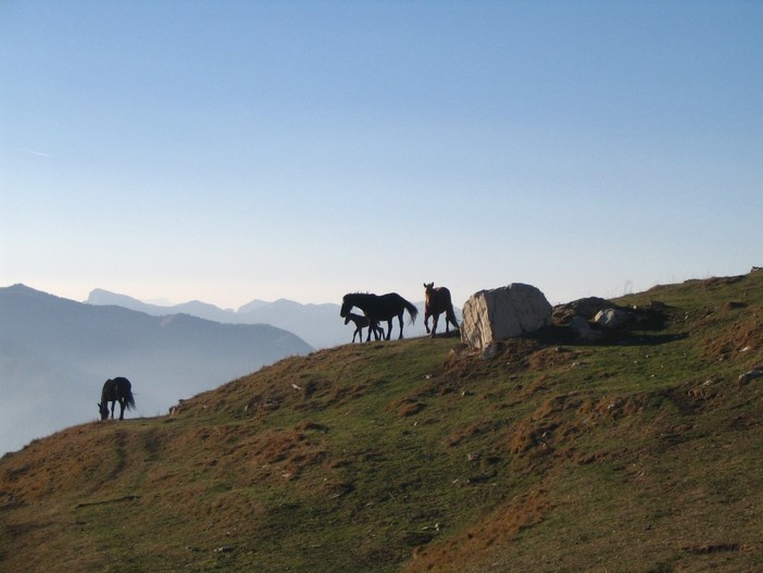 Monte Faudo Monte Faudo