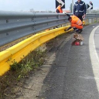Un guard rail 'salva-motociclisti'