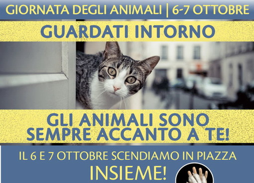 Sabato e domenica prossimi anche a Sanremo la 16a edizione della 'Giornata degli Animali': quest’anno anche nel segno di Zanna Bianca
