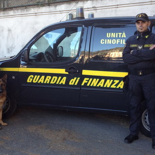Ventimiglia: traffico internazionale di droga sulla rotta Spagna-Italia, arrestato un italiano con 24 kg di droga nei bagagli di un autobus