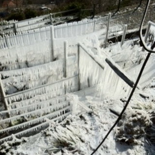 Freddo intenso in tutta la provincia. ecco le foto del ghiaccio di stamattina a Carpasio Freddo intenso in tutta la provincia. ecco le foto del ghiaccio di stamattina a Carpasio