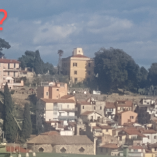 Sanremo, restyling dei Giardini Regina Elena: associazioni denunciano ritardi e mancanza di trasparenza sulle perizie degli alberi