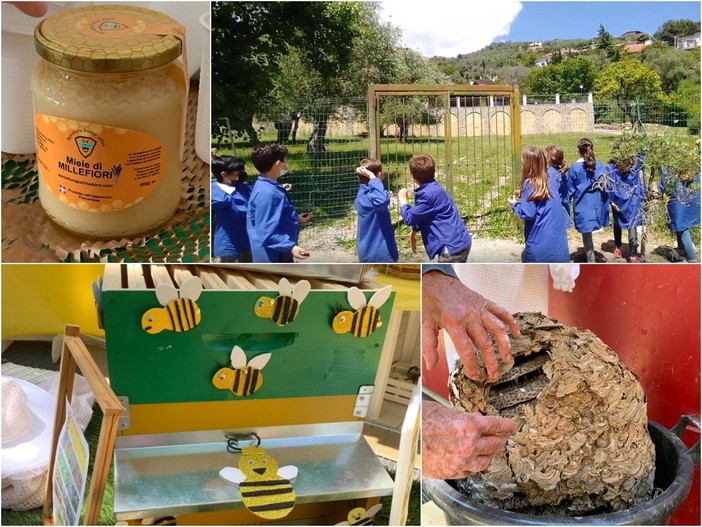 Le immagini delle iniziative per la Giornata Mondiale delle Api