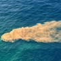 Depuratore di Riva Ligure, 28mila unità di Escherichia coli e condotta danneggiata. La Capitaneria: “Una delle cause” per la balneazione Depuratore di Riva Ligure, 28mila unità di Escherichia coli e condotta danneggiata. La Capitaneria: “Una delle cause” per la balneazione