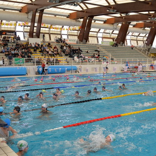 Nuoto: sabato prossimo ad Albenga primo appuntamento del 2021 per gli Esordienti della Rari Imperia
