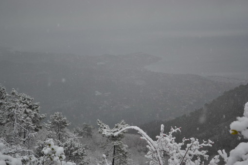 Nevicata sul Ponente e a Limonetto, le suggestive immagini di tre lettori Nevicata sul Ponente e a Limonetto, le suggestive immagini di tre lettori