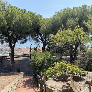 Sanremo: riqualificazione dei Giardini 'Regina Elena', la preoccupazione del Pat per le piantumazioni Sanremo: riqualificazione dei Giardini 'Regina Elena', la preoccupazione del Pat per le piantumazioni