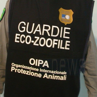 Sanremo: a febbraio il corso per diventare guardia eco-zoofila volontaria a tutela degli animali