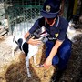 Guardie zoofile OIPA in Liguria, aperte le iscrizioni ai corsi gratuiti per entrare a tutela degli animali
