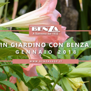 Come trattare a Gennaio tappeti erbosi, piante da frutta, piante da orto e giardino: i consigli dell'agronomo Enrico Leva, collaboratore della ditta Benza