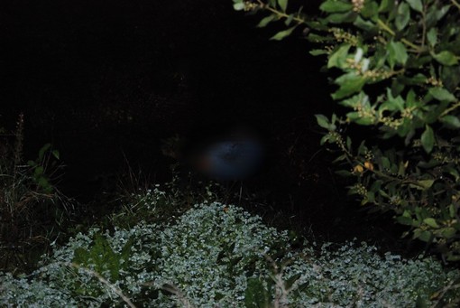 Sanremo: trovato il cadavere di un 80enne su una sponda del torrente San Martino