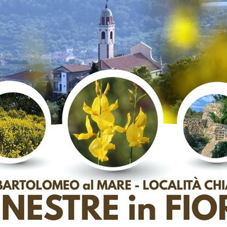 San Bartolomeo al Mare: passeggiata tra le ginestre in fiore, Gamalero "Occasione imperdibile per scoprire Chiappa e la flora locale"