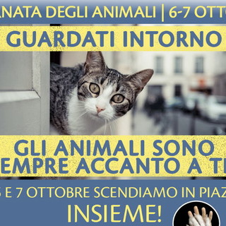 Sabato e domenica prossimi anche a Sanremo la 16a edizione della 'Giornata degli Animali': quest’anno anche nel segno di Zanna Bianca Sabato e domenica prossimi anche a Sanremo la 16a edizione della 'Giornata degli Animali': quest’anno anche nel segno di Zanna Bianca