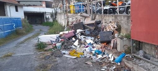 Imperia, ordinanza 'Giro dei galli', Circolo Castelvecchio: "Attesa da 30 anni, era ora" (foto)