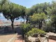 Sanremo: riqualificazione dei Giardini 'Regina Elena', la preoccupazione del Pat per le piantumazioni