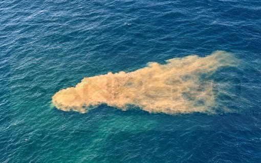 Depuratore di Riva Ligure, 28mila unità di Escherichia coli e condotta danneggiata. La Capitaneria: “Una delle cause” per la balneazione