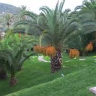 Sasso di Bordighera, terzo appuntamento degli Itinerari di Letteratura – 2025 Sasso di Bordighera, terzo appuntamento degli Itinerari di Letteratura – 2025