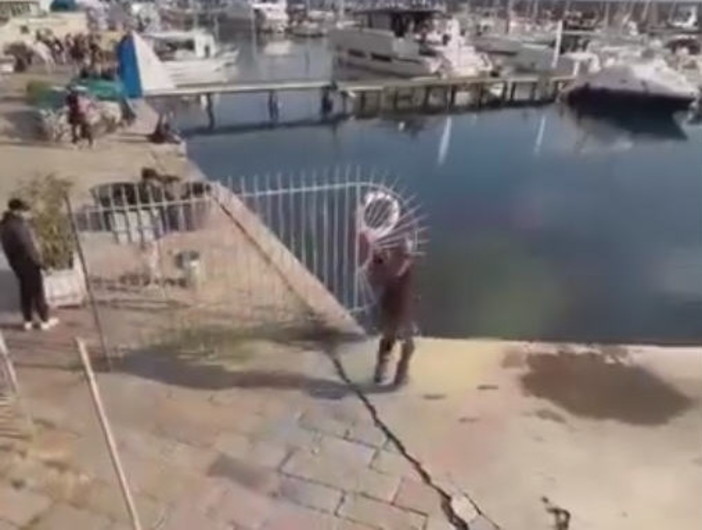 Sanremo: lite sulla banchina dei pescatori, un uomo spintonato finisce in acqua e... in rete (Video) Sanremo: lite sulla banchina dei pescatori, un uomo spintonato finisce in acqua e... in rete (Video)