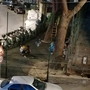 Sanremo: schiamazzi serali al Borgo, la segnalazione di un residente "Da settimane la situazione non cambia" Sanremo: schiamazzi serali al Borgo, la segnalazione di un residente "Da settimane la situazione non cambia"