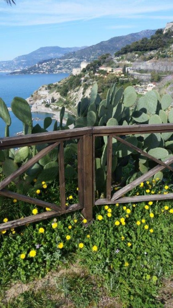 Ventimiglia: sabato verrà inaugurata la statua della Madonna dell'Orto nel Giardino della Bellezza Ventimiglia: sabato verrà inaugurata la statua della Madonna dell'Orto nel Giardino della Bellezza