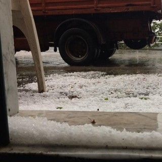 Furia del maltempo di ieri: danni fino al 40% alle colture olivicole nelle valli tra Savona e Imperia Furia del maltempo di ieri: danni fino al 40% alle colture olivicole nelle valli tra Savona e Imperia