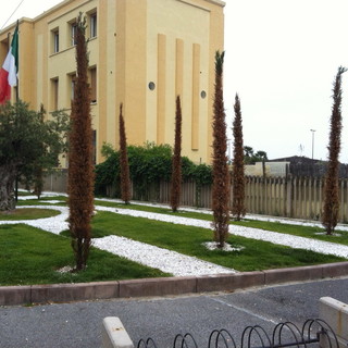 Sanremo: cipressi morenti ai giardini dei Caduti di Nassiriya, la segnalazione di un lettore