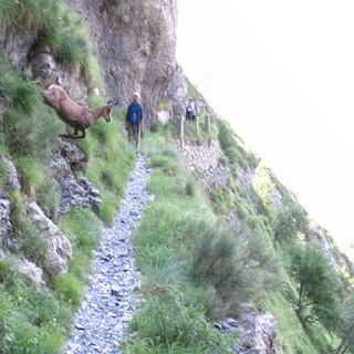 Domenica prossima l'escursione sul 'Sentiero degli Alpini'